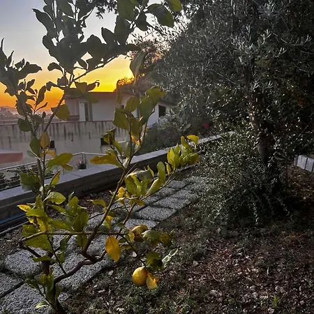 Townhouse Piraino Броло